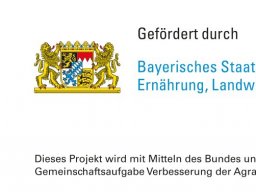 Anschaffung Palettenhochregal